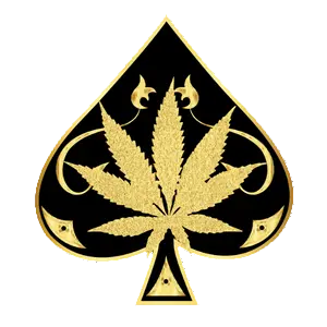 Ace Ultra Premium Brand Logo